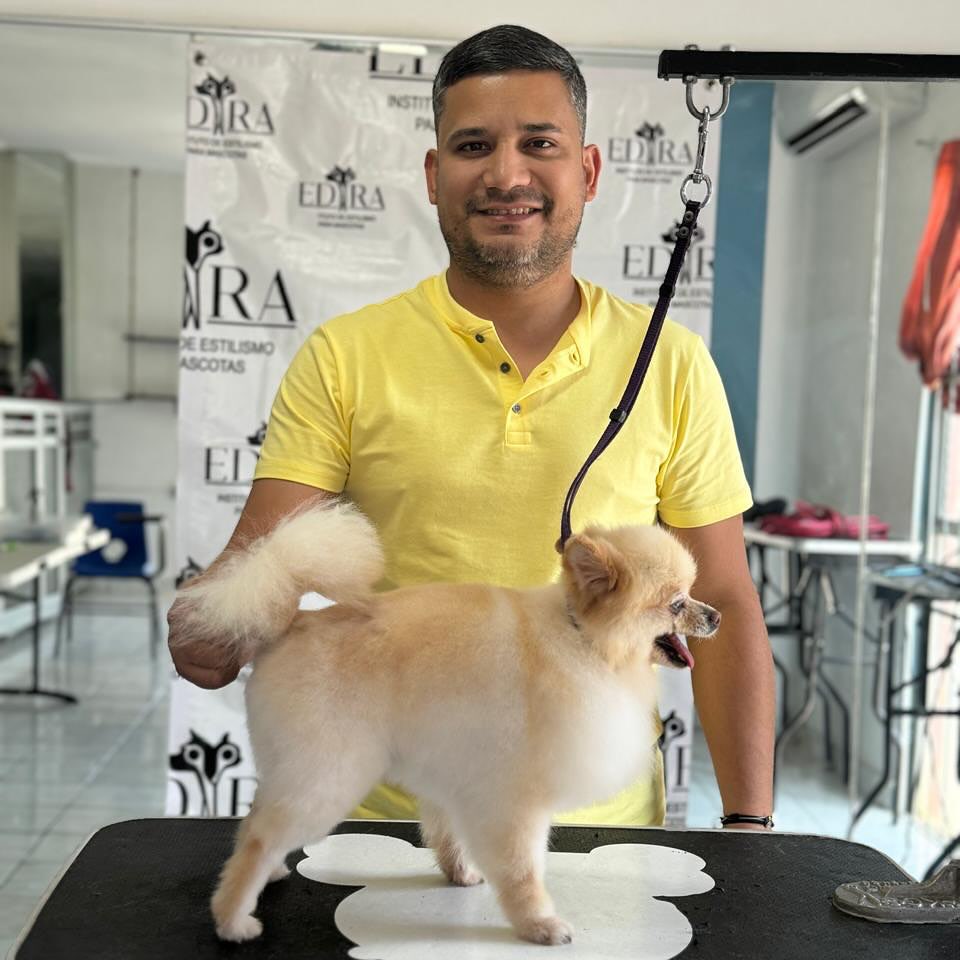 Consulta veterinaria profesional en Huellitas